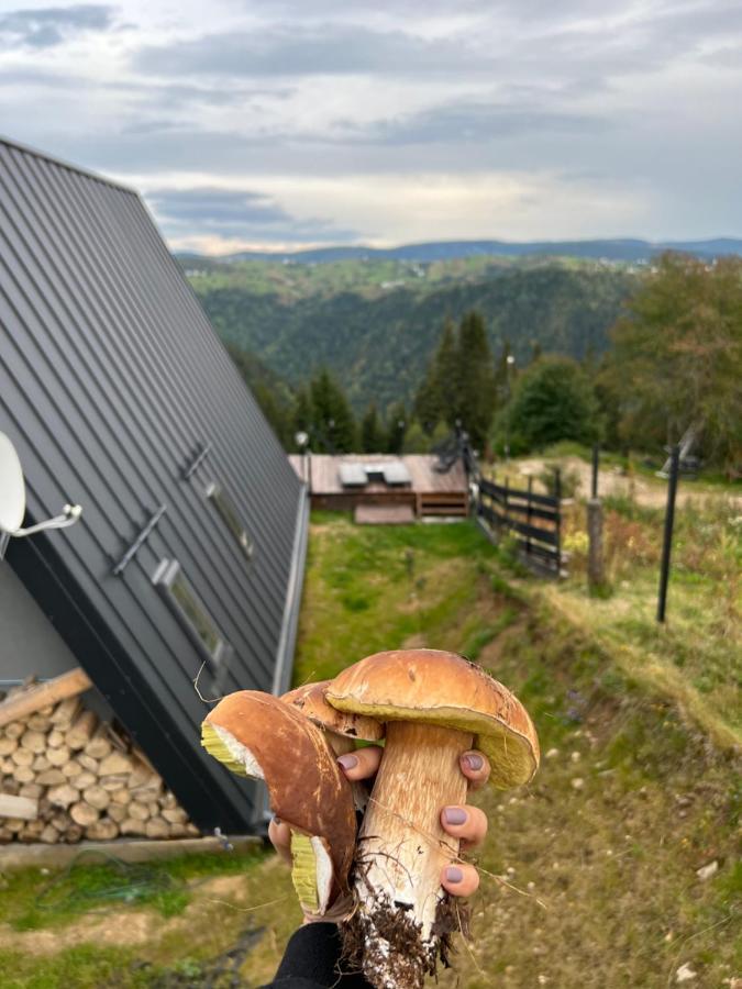 Nordik Cabin - Aframe With 2 Bedrooms Mărişel Kültér fotó